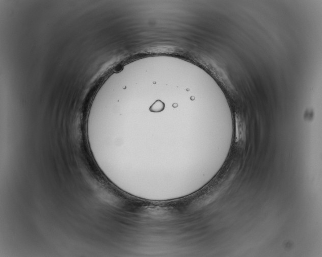 X0000101190300200807251009