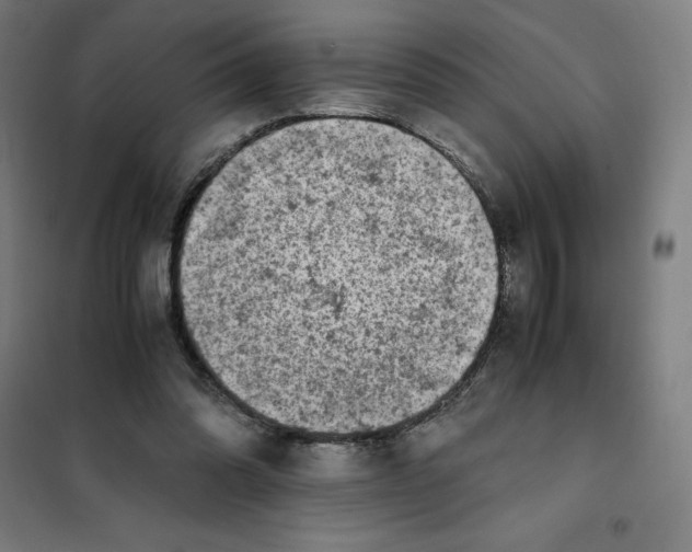 X0000101190302200807251009