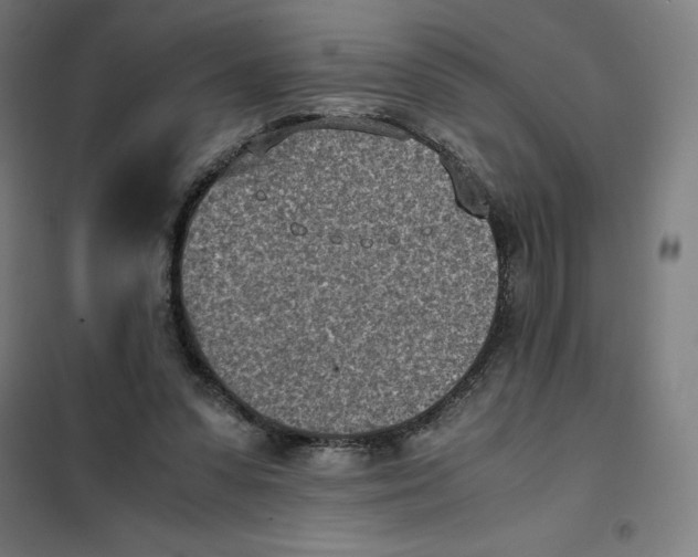 X0000101190303200807251009