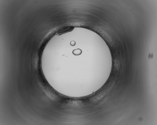 X0000101190304200807251009