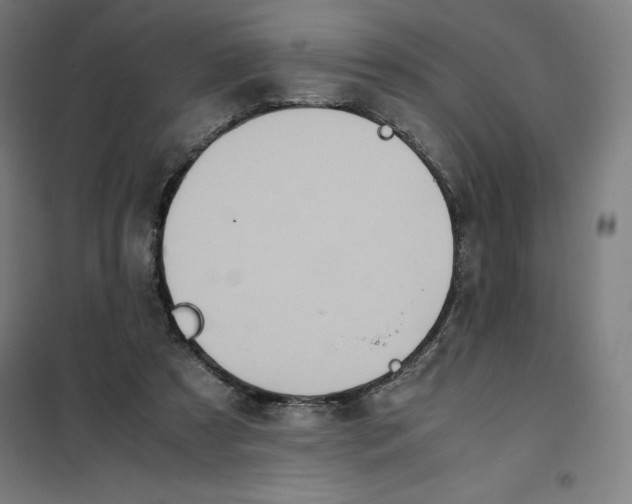 X0000101190305200807251008