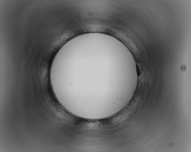 X0000101190306200807251008