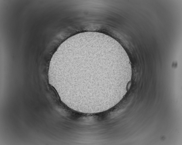 X0000101190307200807251008