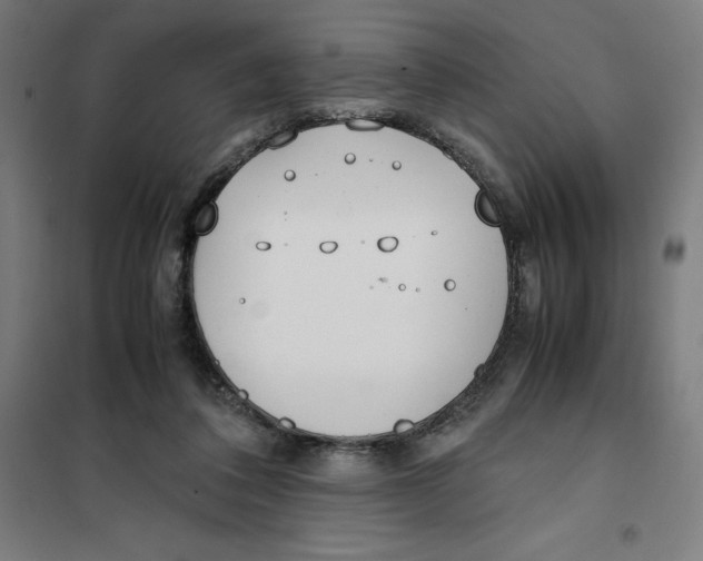 X0000101190308200807251008