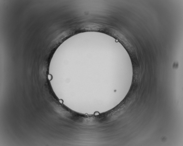 X0000101190309200807251008