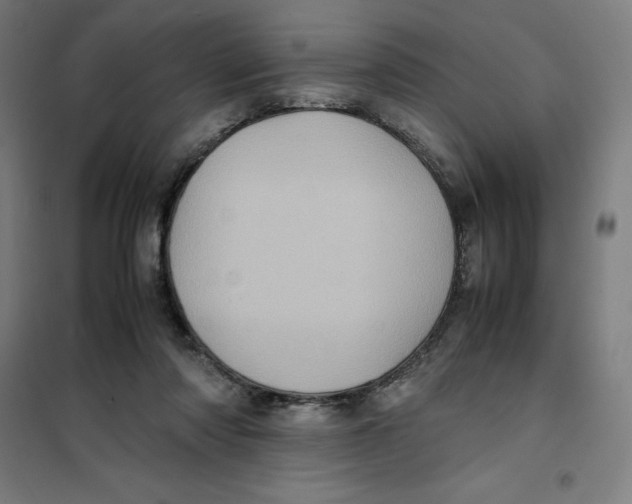 X0000101190310200807251008