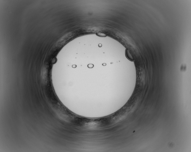 X0000101190312200807251008