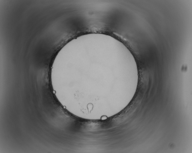 X0000101190313200807251008