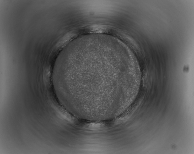 X0000101190314200807251008