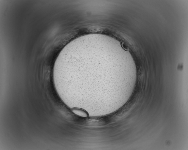 X0000101190315200807251008