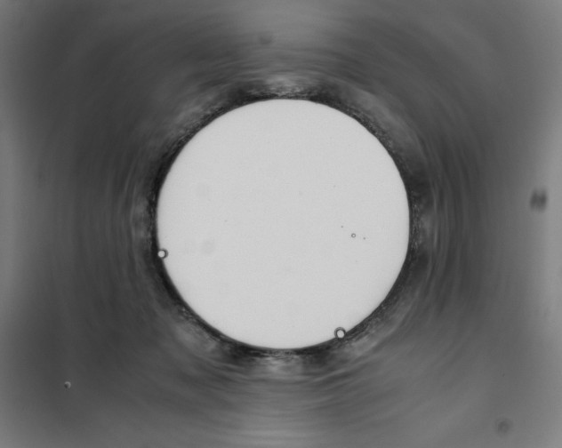X0000101190317200807251008