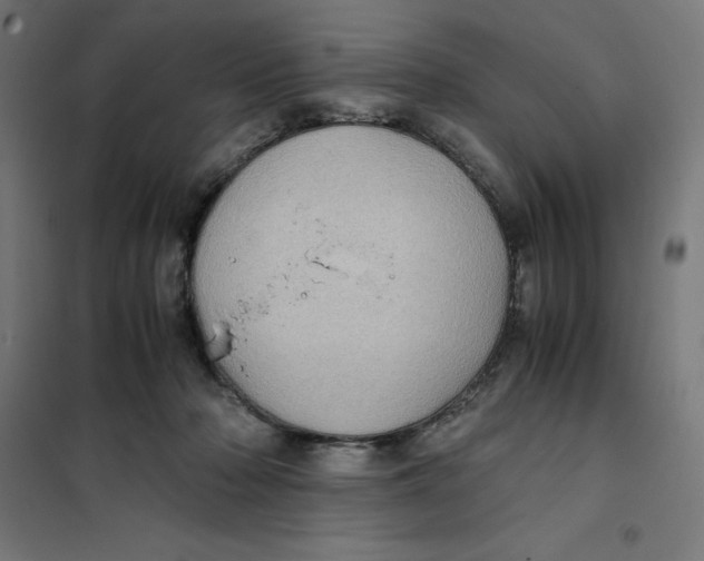 X0000101190318200807251008