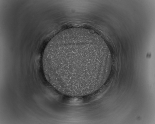 X0000101190319200807251008