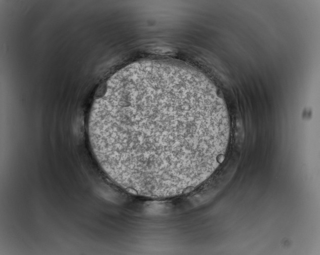 X0000101190320200807251008