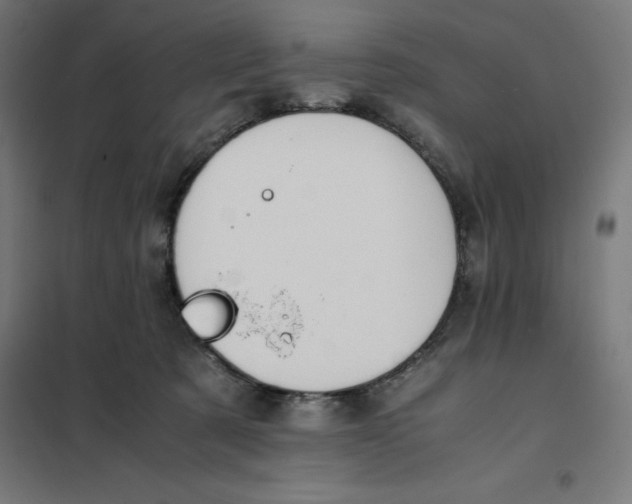X0000101190321200807251008
