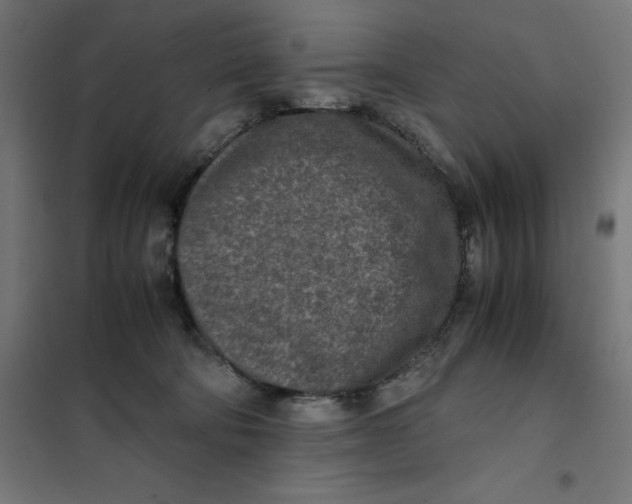 X0000101190322200807251008