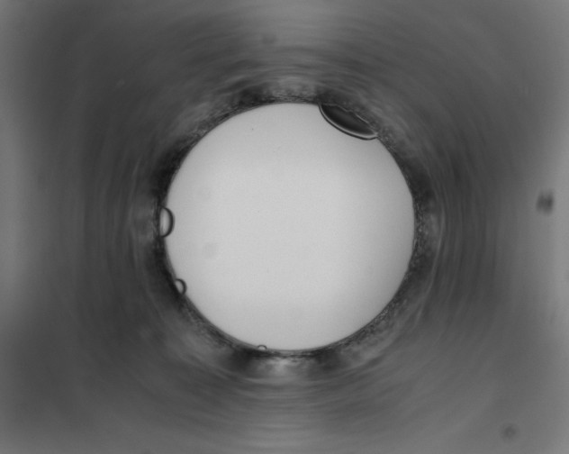 X0000101190323200807251008