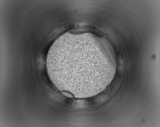 X0000101190324200807251008
