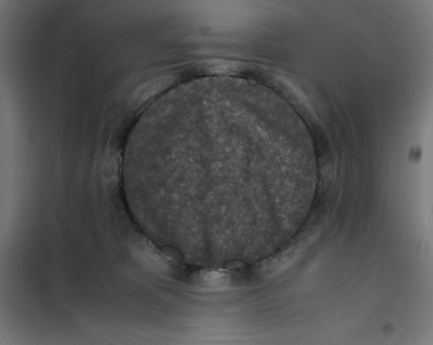 X0000101190325200807251008