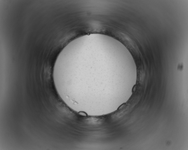 X0000101190326200807251008