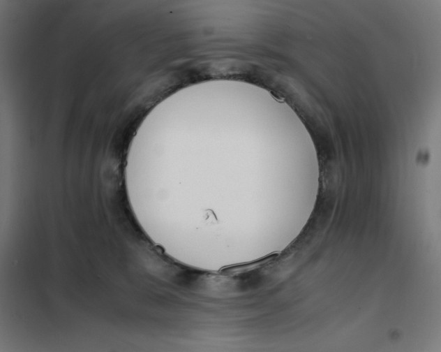 X0000101190327200807251008