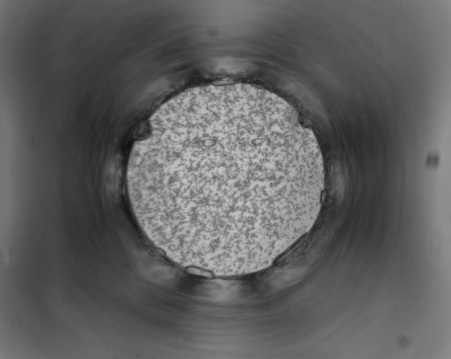 X0000101190328200807251008