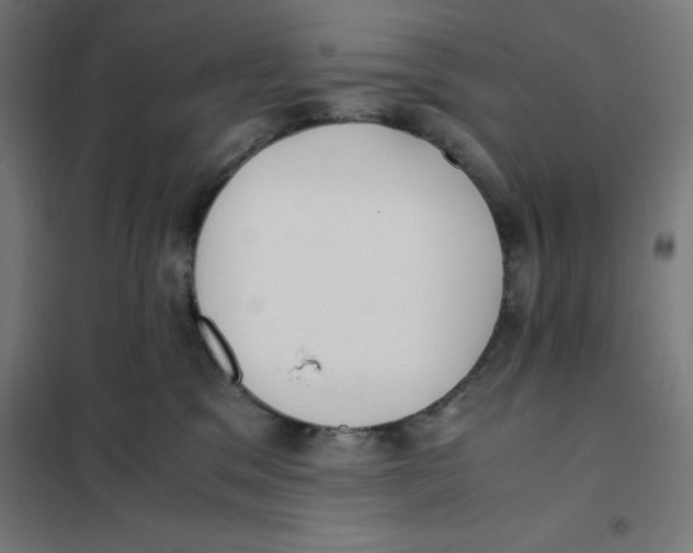 X0000101190329200807251008