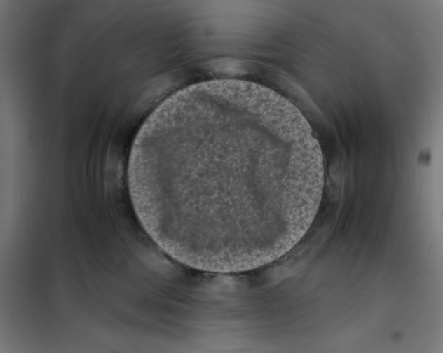 X0000101190330200807251008