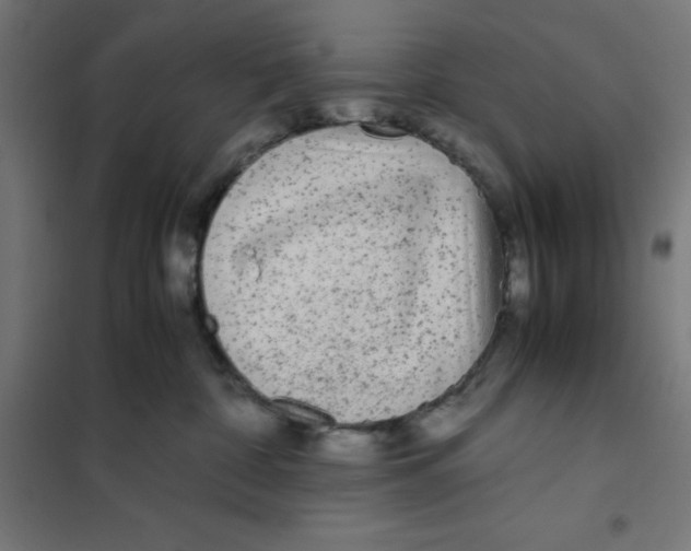 X0000101190332200807251008