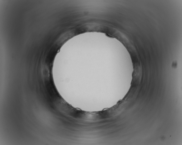 X0000101190333200807251008
