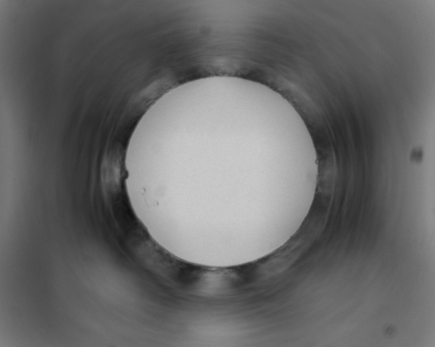 X0000101190334200807251008
