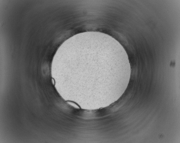 X0000101190335200807251008