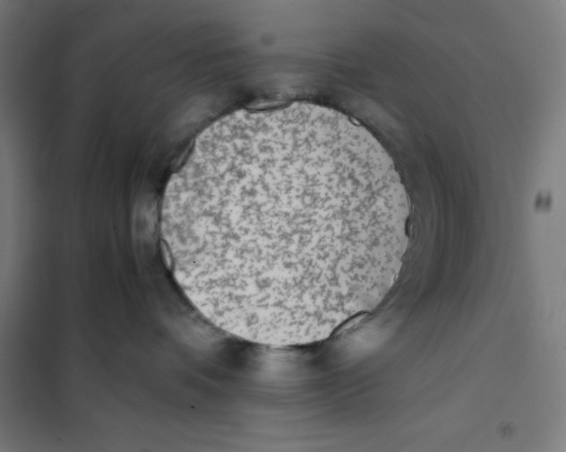 X0000101190336200807251008