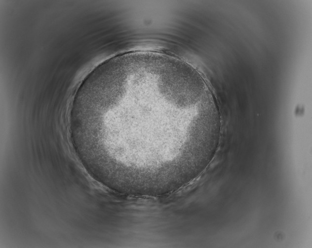 X0000101190337200807251007