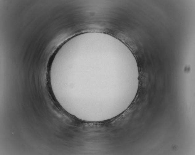X0000101190338200807251007