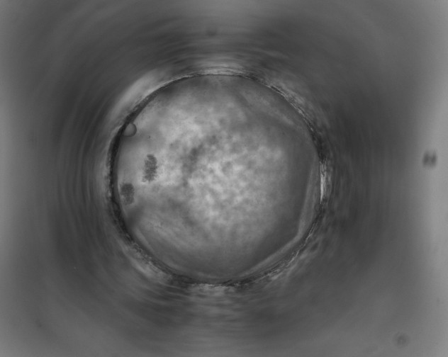 X0000101190339200807251007