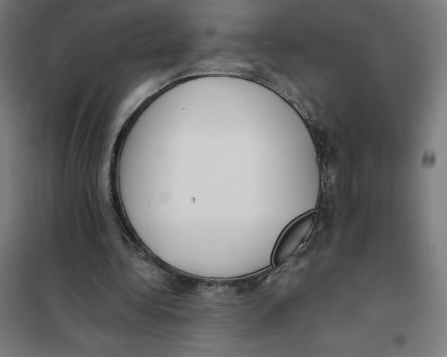 X0000101190340200807251007