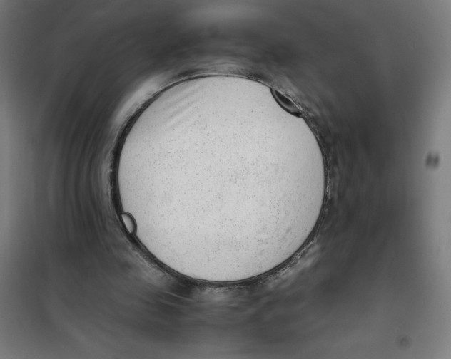 X0000101190341200807251007