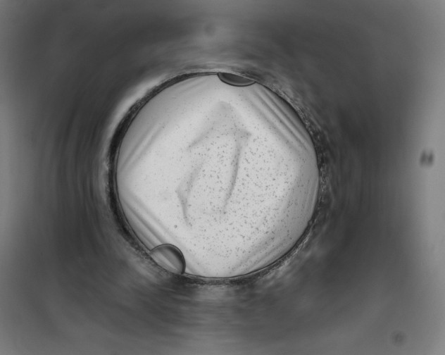 X0000101190342200807251007