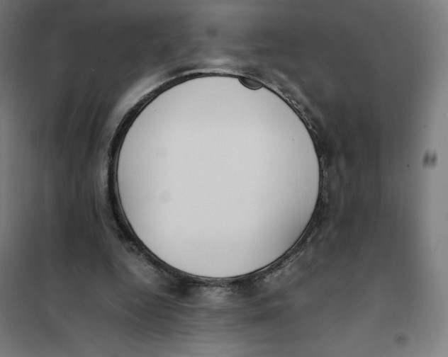 X0000101190344200807251008