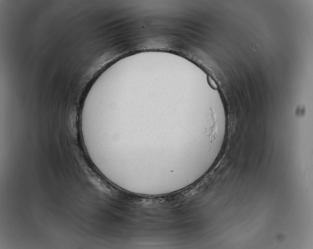 X0000101190345200807251008