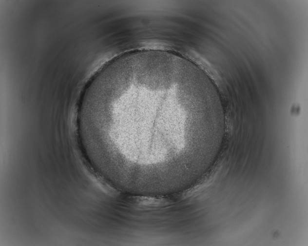 X0000101190347200807251008