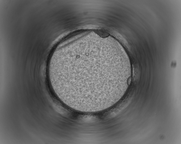 X0000101190348200807251008