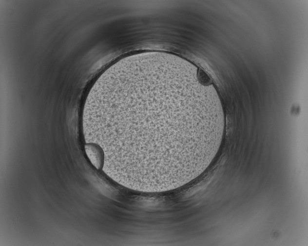 X0000101190349200807251008