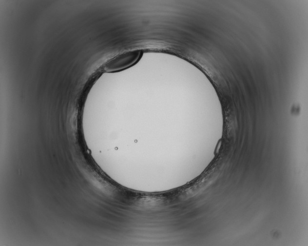 X0000101190350200807251008