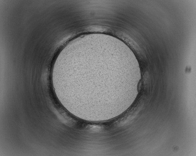 X0000101190352200807251008