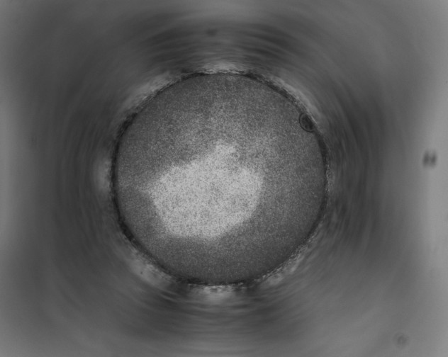 X0000101190353200807251008