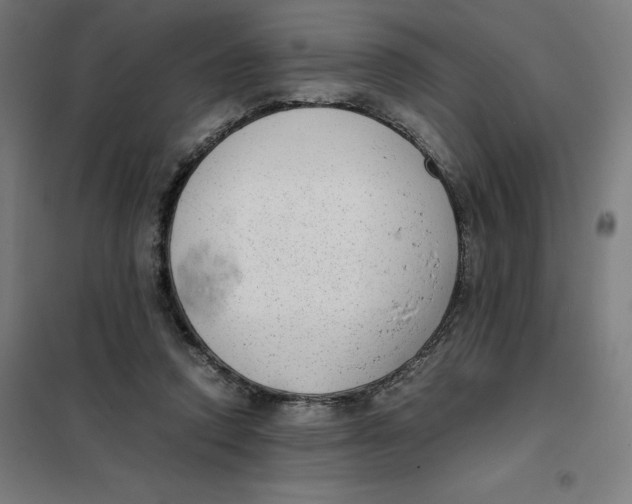 X0000101190354200807251008