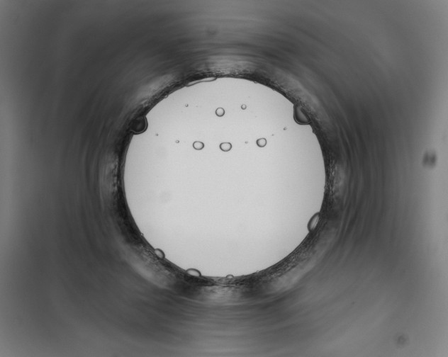X0000101190356200807251008