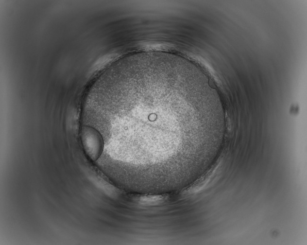 X0000101190357200807251008
